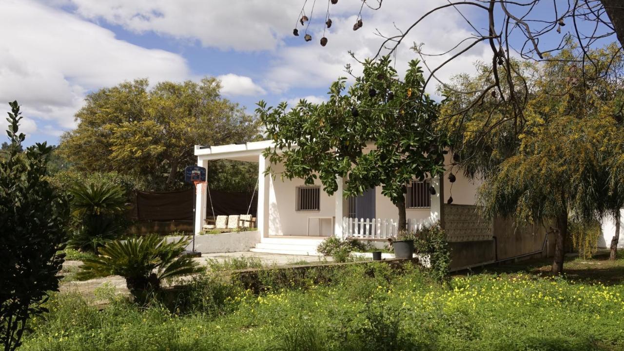 Casa Campo con piscina en la montaña de Picassent. Exterior foto