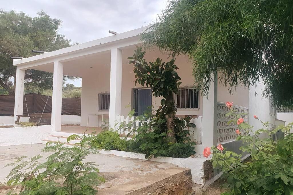 Casa Campo con piscina en la montaña de Picassent. Exterior foto