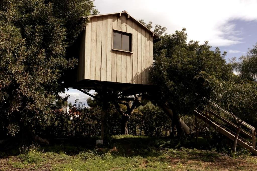 Casa Campo con piscina en la montaña de Picassent. Exterior foto