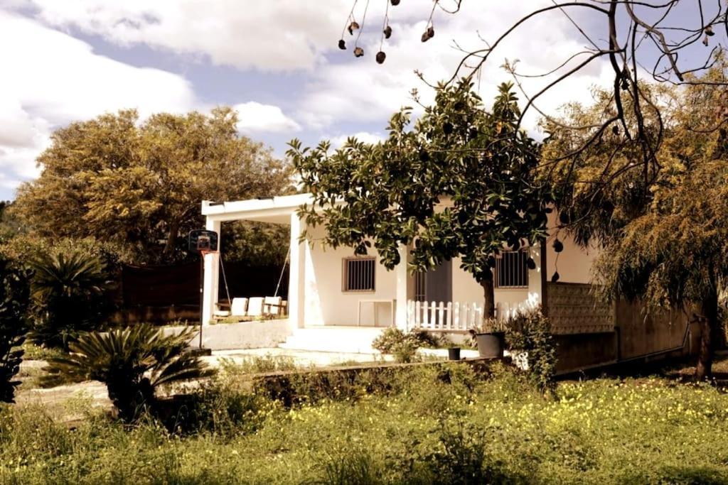 Casa Campo con piscina en la montaña de Picassent. Exterior foto