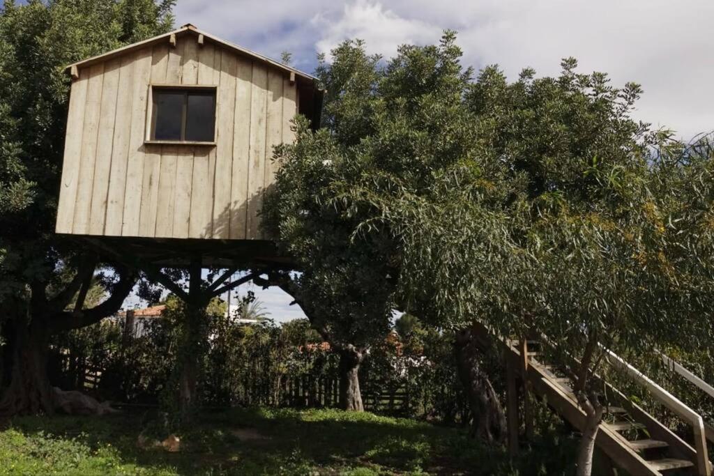 Casa Campo con piscina en la montaña de Picassent. Exterior foto