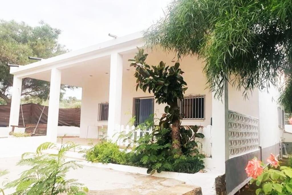 Casa Campo con piscina en la montaña de Picassent. Exterior foto